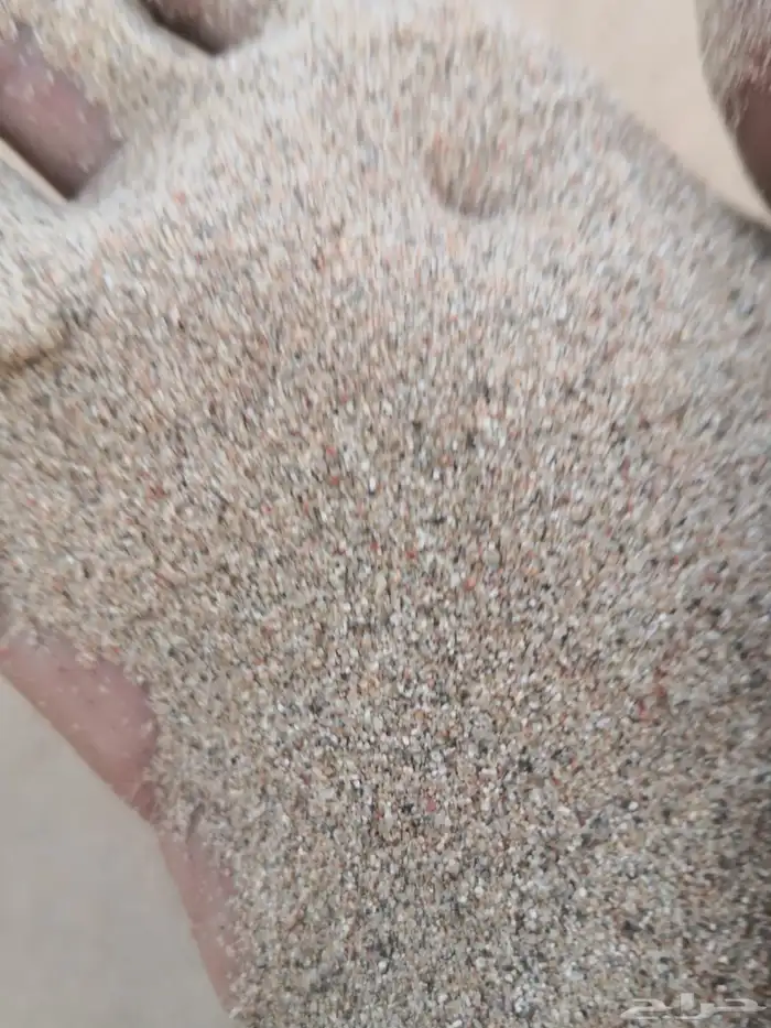 رمل احمر الفريش 25