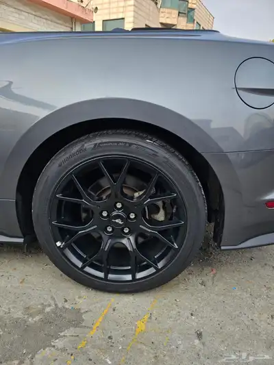 موستنج 2021 كشف index