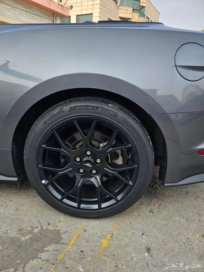 موستنج 2021 كشف 6