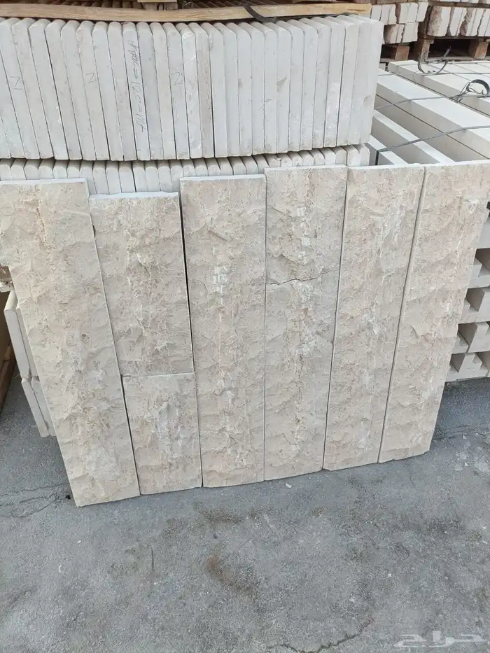 حجر وجه الجبل ونساح الرياض ابيض 3