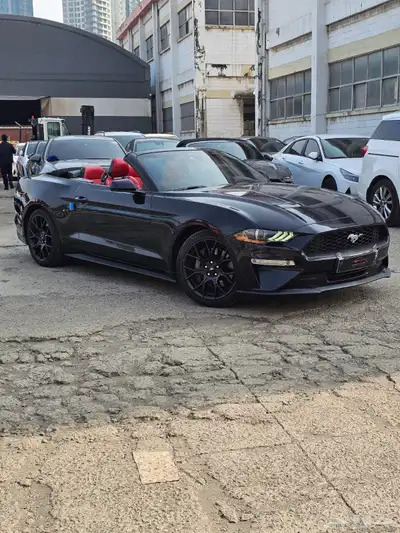 موستنج 2021 كشف index