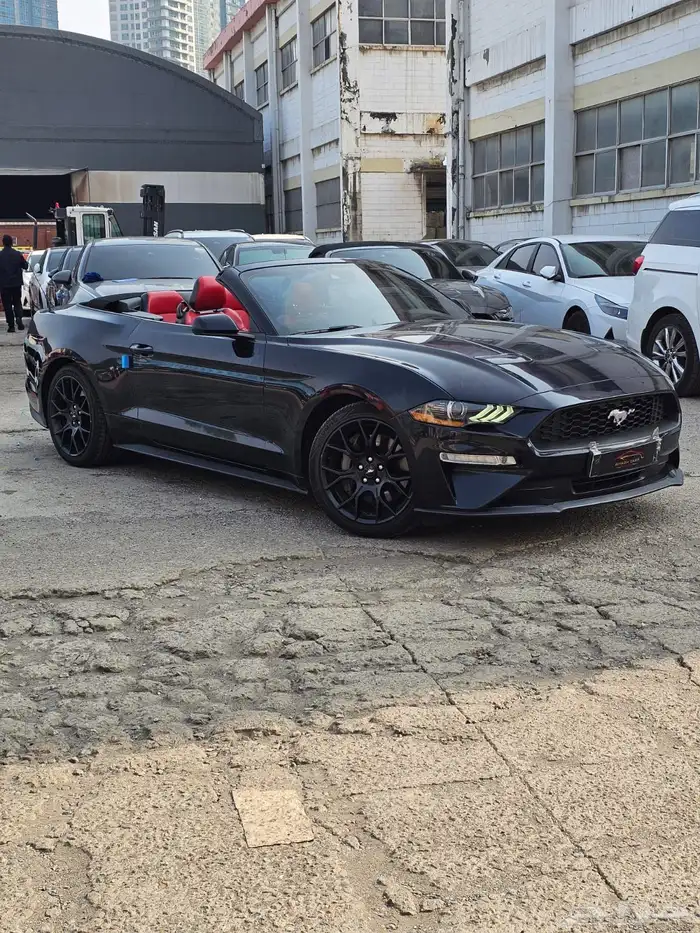 موستنج 2021 كشف 0