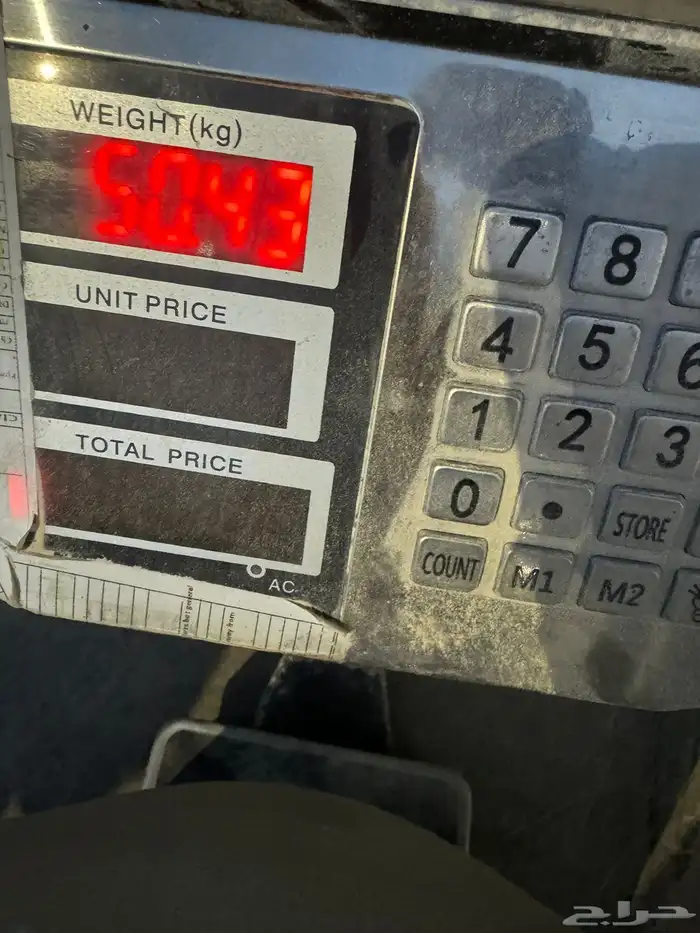 بذر قمح سميد 4