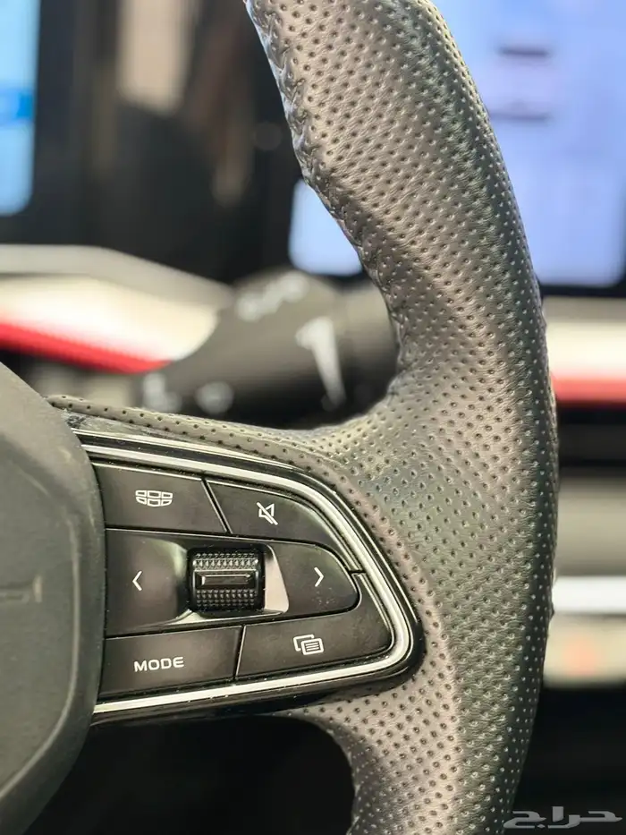 جيلي - كولراي -2024 -فل 25