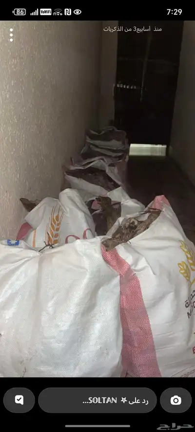 ح ط ب ا ر ط ة 0