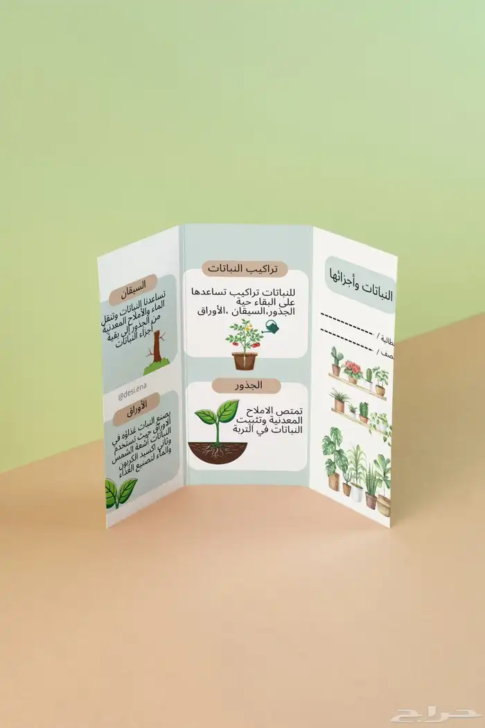 مطويات خدمات مدرسية عرض تقديمي pdf 4