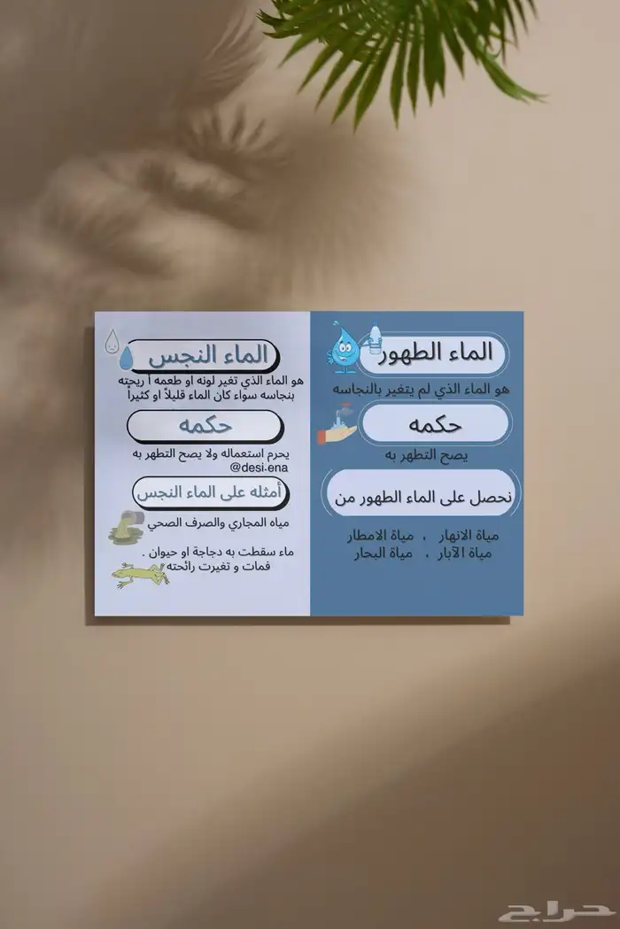 مطويات خدمات مدرسية عرض تقديمي pdf 7