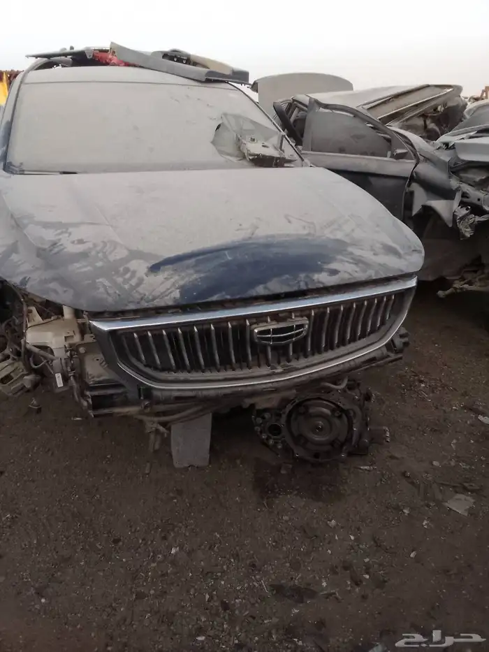 شيري اريزوا 6 بروا 7