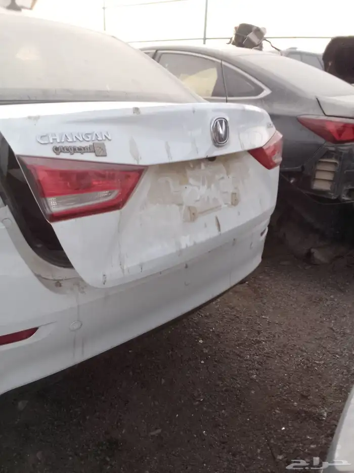 شيري اريزوا 6 بروا 3