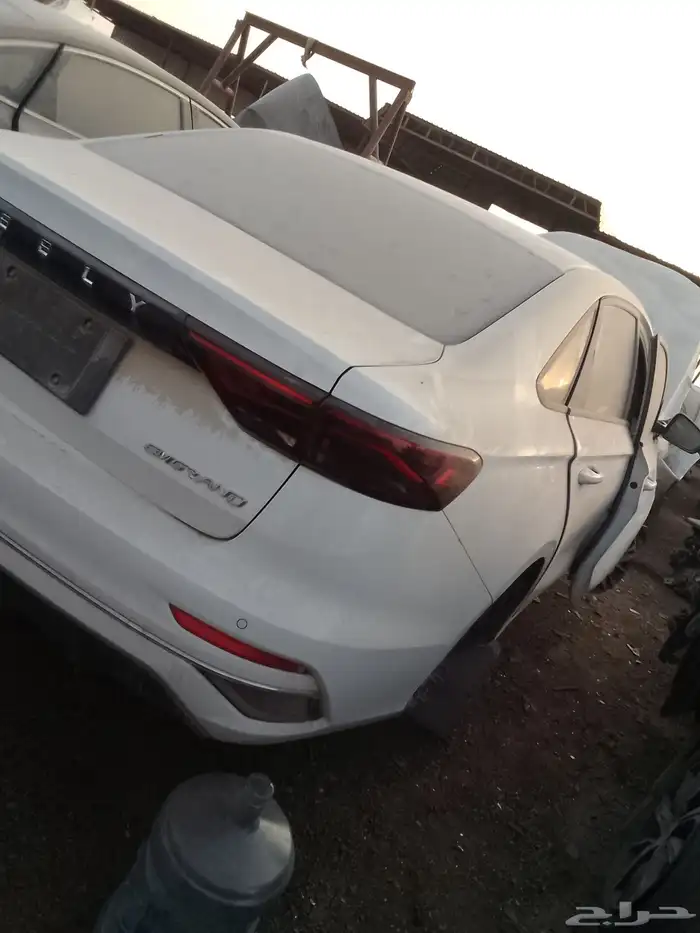 شيري اريزوا 6 بروا 5