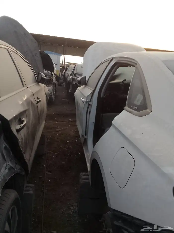 شيري اريزوا 6 بروا 2