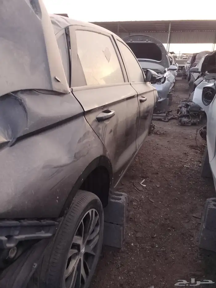 شيري اريزوا 6 بروا 4