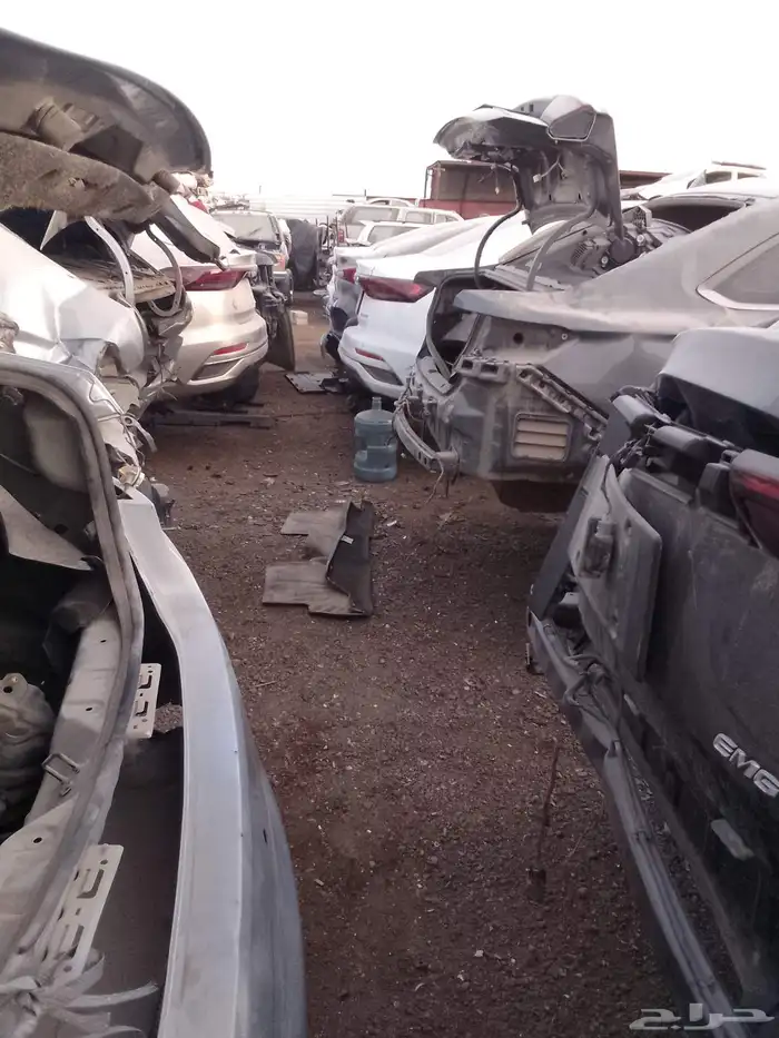 شيري اريزوا 6 بروا 6