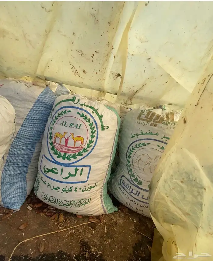 اعلاف مواشي تمر مكيس 1