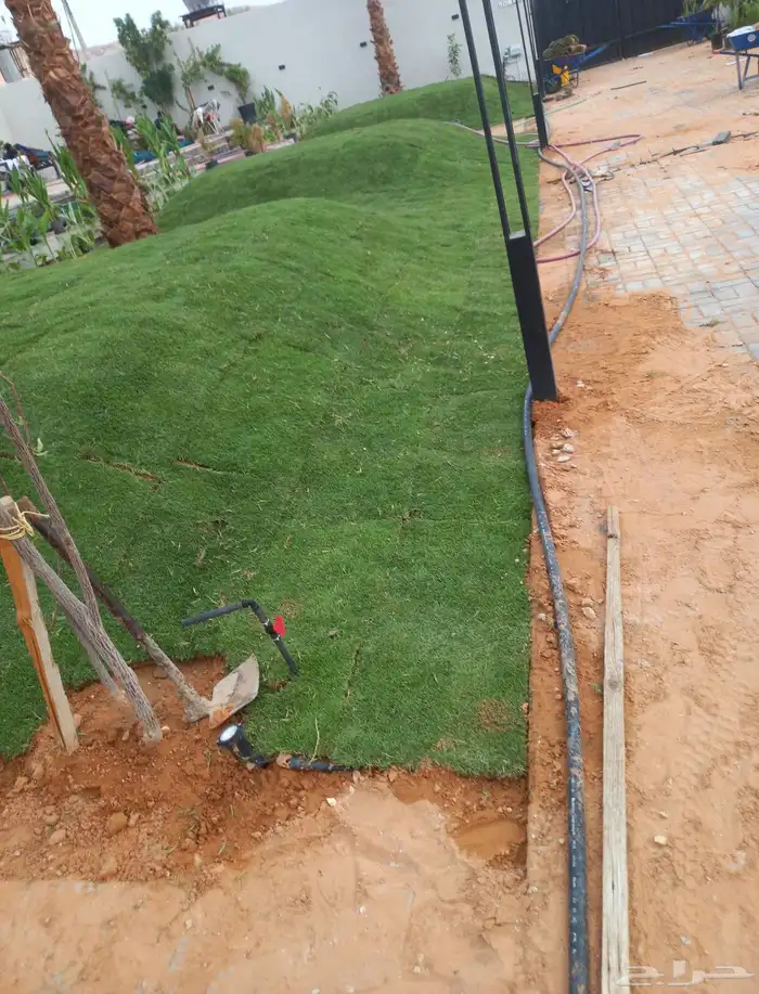 نجيله طبيعي ثيل طبيعي 14