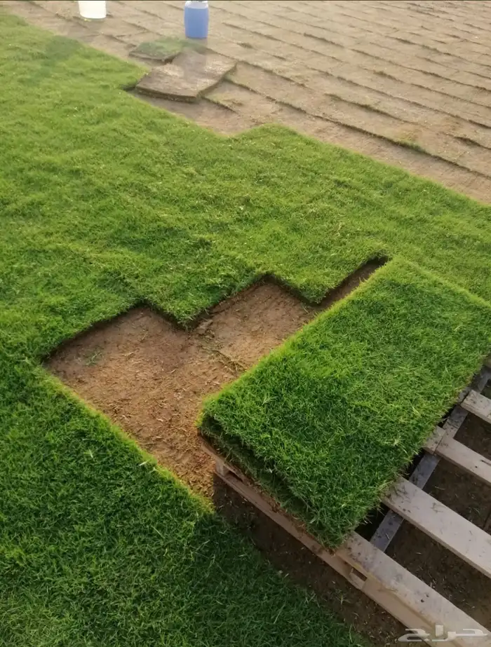 نجيله طبيعي ثيل طبيعي 11