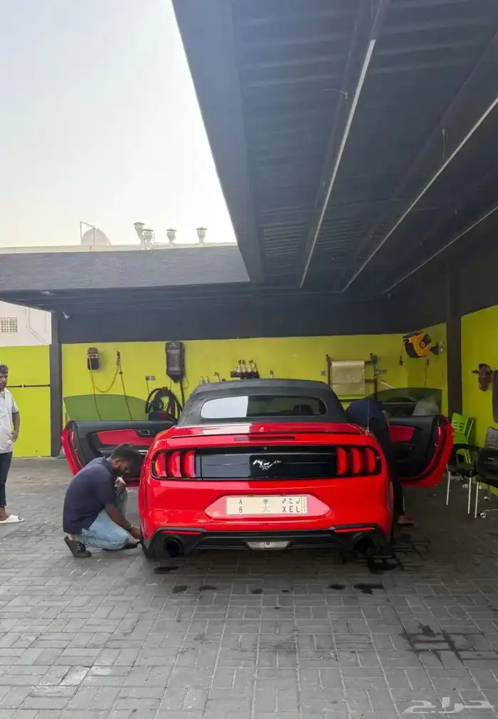 موستنج 2018 10