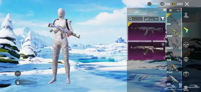 حساب ببجى 14