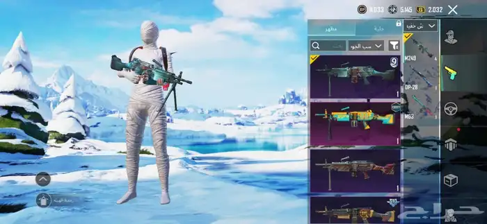 حساب ببجى 10