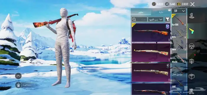 حساب ببجى 12