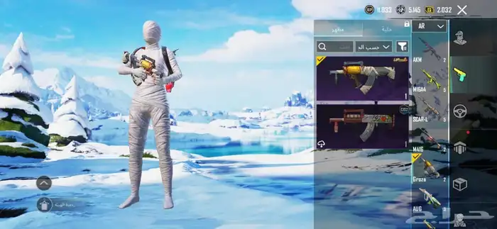 حساب ببجى 13