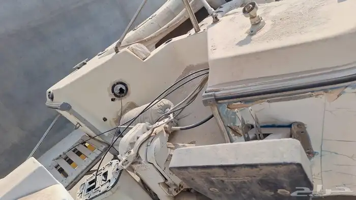 موجود في الاحساء 18 قدم لا توجد عليه اوراق 1