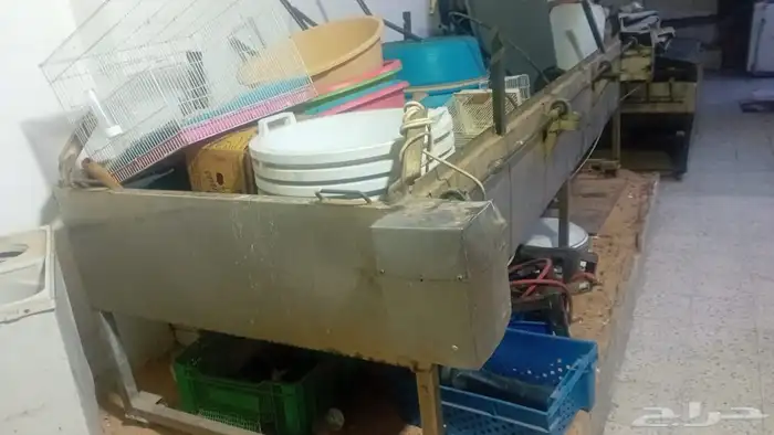 شوايه مع راويه مويه 1