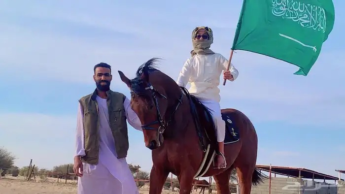 فرس إنجليزيه بأوراق 3