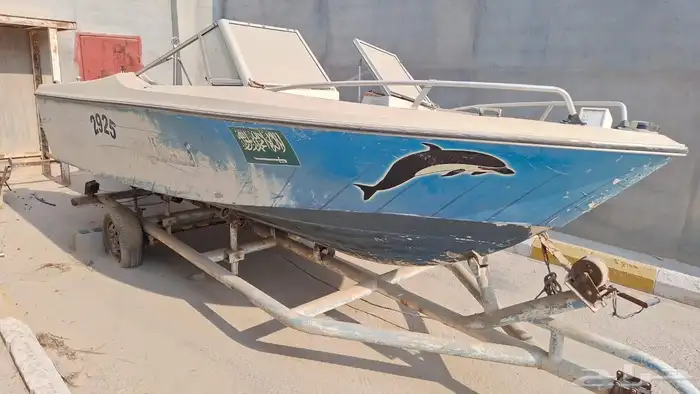 موجود في الاحساء 18 قدم لا توجد عليه اوراق 4