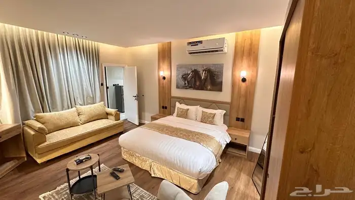 سويت واستديو vip بالعقيق باسعار (مخفضة) للإيجار 3