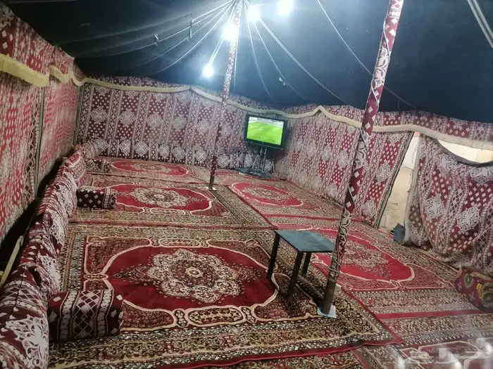 مخيم للايجار جنوب الرياض 4