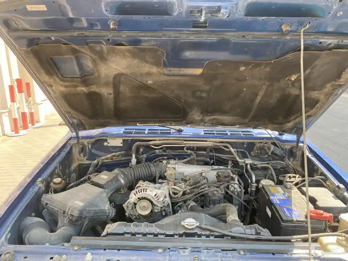 باجيرو نضيف 26