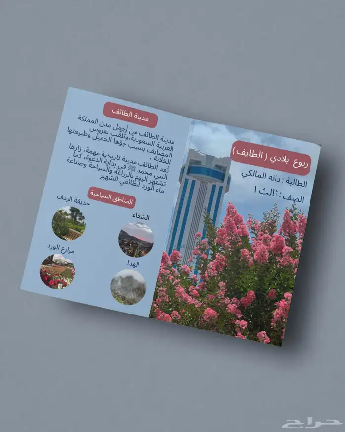 مطويات خدمات مدرسية عرض تقديمي pdf 2