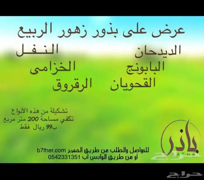 عندك ارض وتبي تزرعها بذور ربيعية .. تفضل ويوجد بذور برية 0