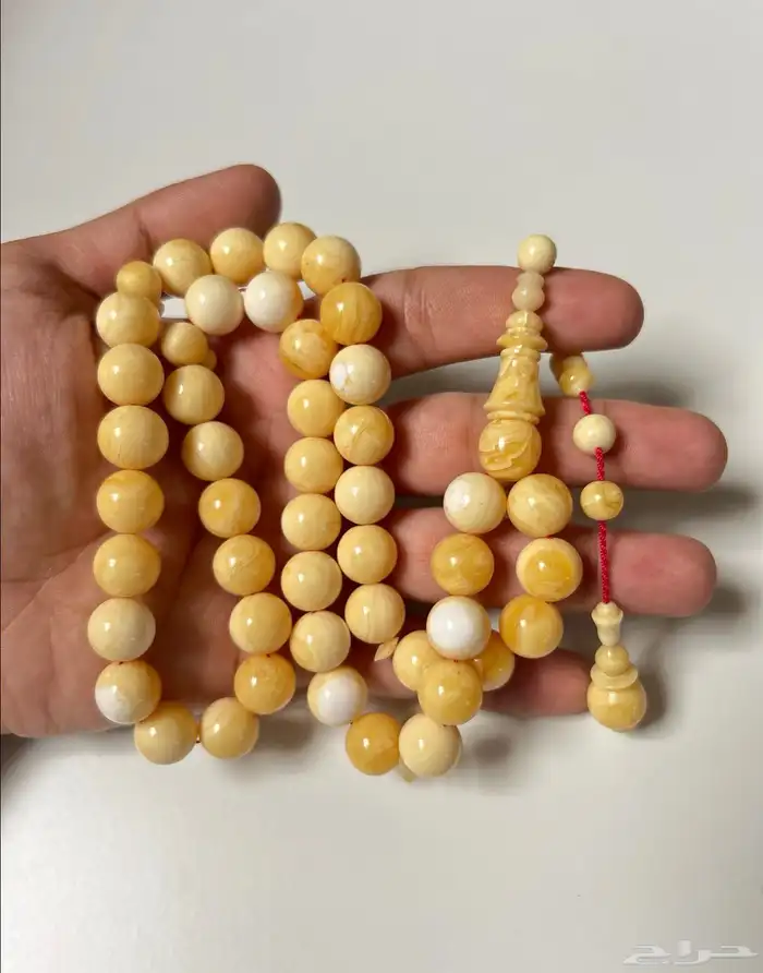 سبح بكلايت امريكي صب جديد 0