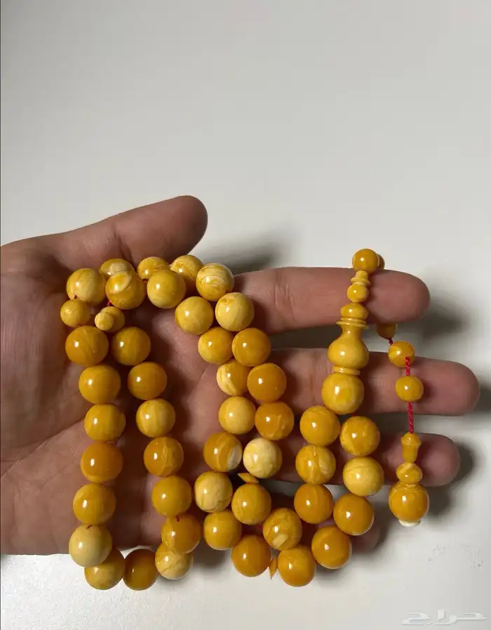 سبح بكلايت امريكي صب جديد 2