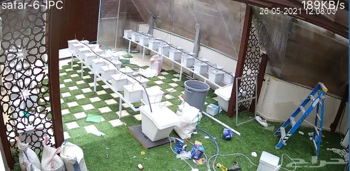 زراعة مائية 0