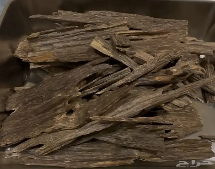 عود هندي ناجلاند فاخر 0