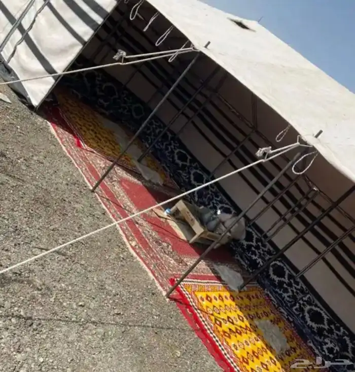 بيوت شعر جديدة ابيض واسود جميع المقاسات 27