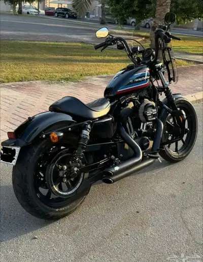 Harley Davidson 2021 sportster index
