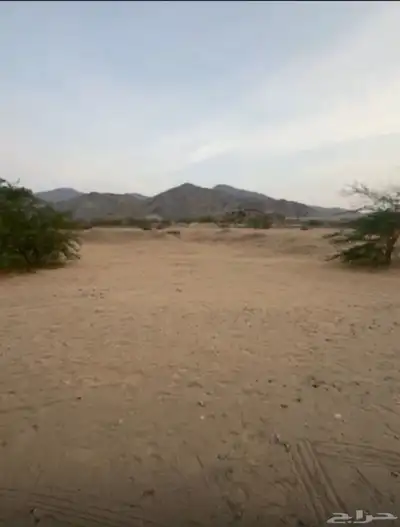 ارض لابيع بمخطط ولي العهد 9ب شارع 25م المربع الاول مستوية index