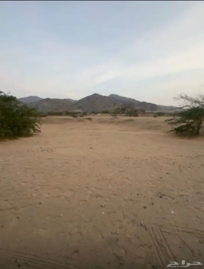 ارض لابيع بمخطط ولي العهد 9ب شارع 25م المربع الاول مستوية 3