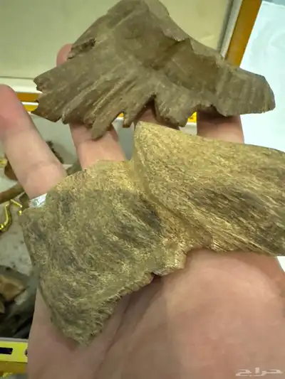 نوادر المروكي الحي index