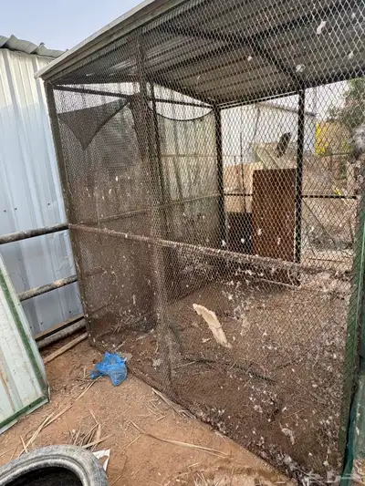 شبك بقلاوه فتحه صغير index