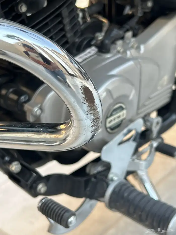 دباب للبيع بجاج افنجر 6