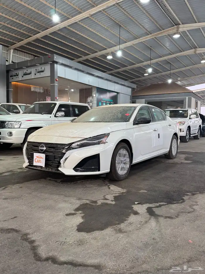 التيماء ستاندر 2