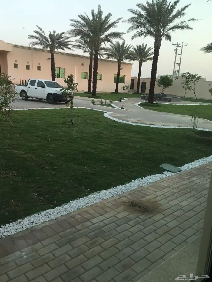 نجيله طبيعي ثيل طبيعي 2