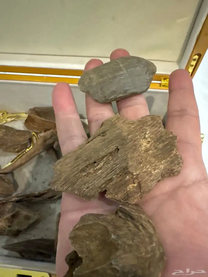 نوادر المروكي الحي 10