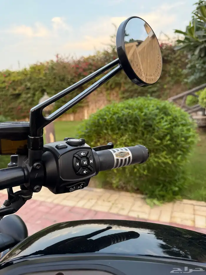 هارلي سبوستر S 2021 6