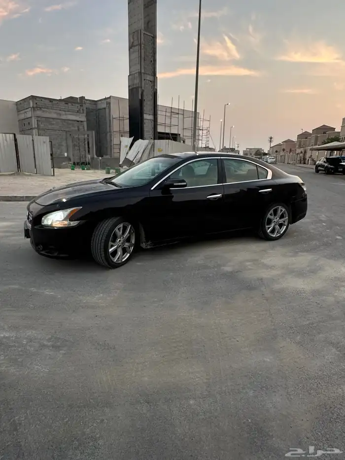 ماكسيما 2014 2